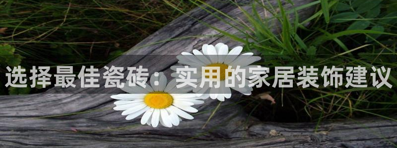 万事娱乐计划软件