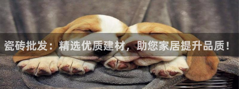 万事皆可娱乐