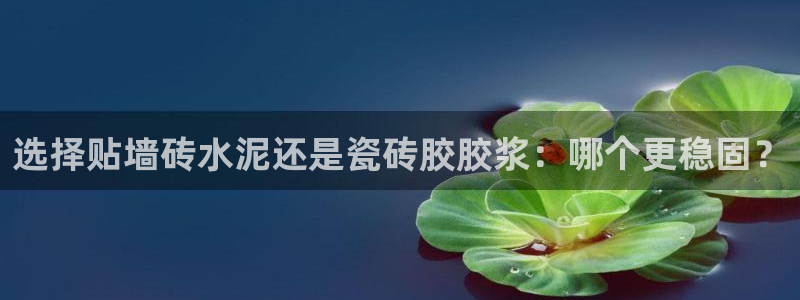 万事娱乐主管年薪多少