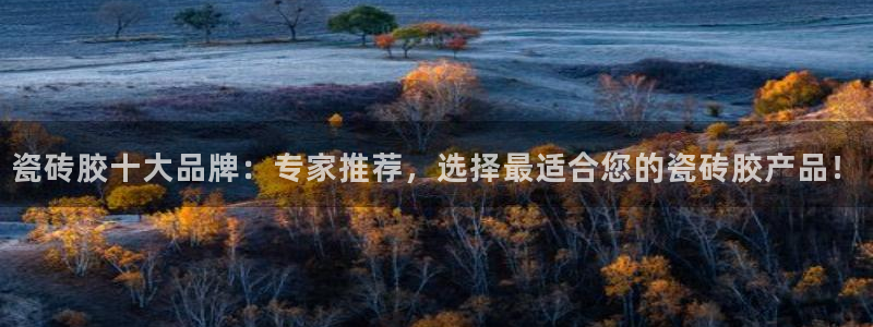 万事娱乐检测
