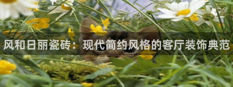 万事娱乐靠