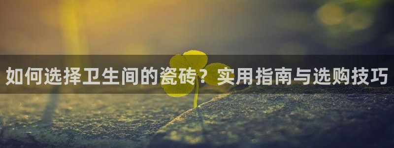 万事达娱乐经纪公司