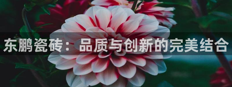 万事平台娱乐