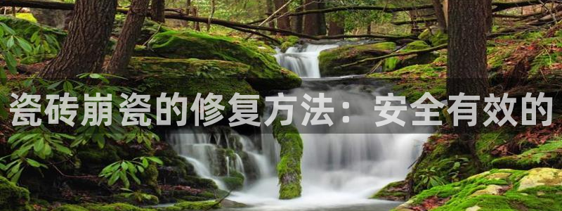 万事娱乐首页入口网站