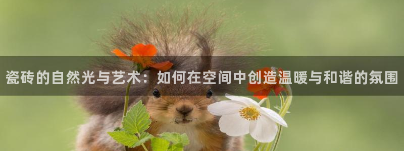 万事娱乐平台注册流程