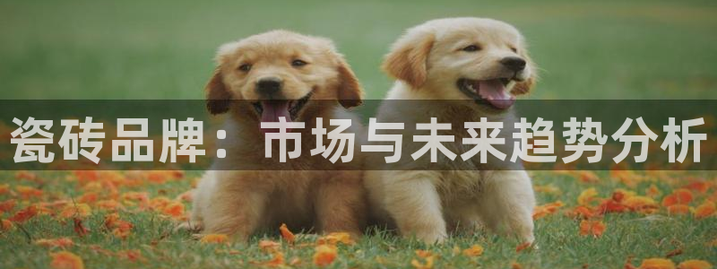 万事娱乐注册登录