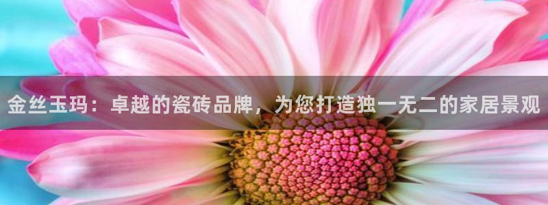万事娱乐招商