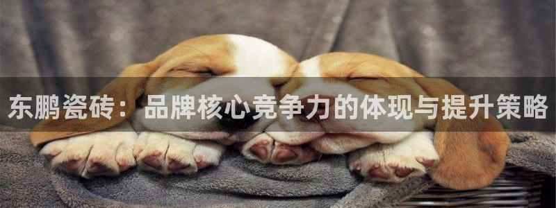 万事达娱乐 直 招