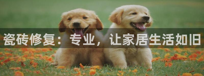 万事娱乐8238774