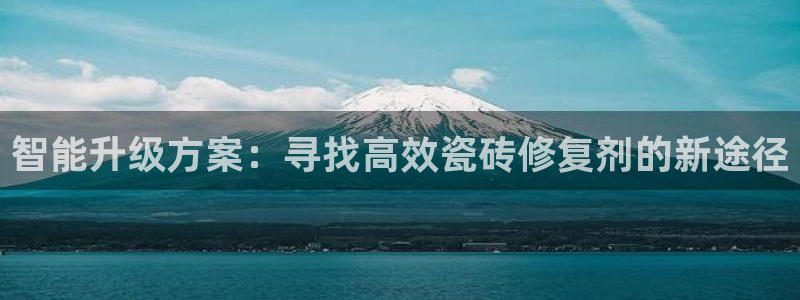 万事达娱乐i 判官