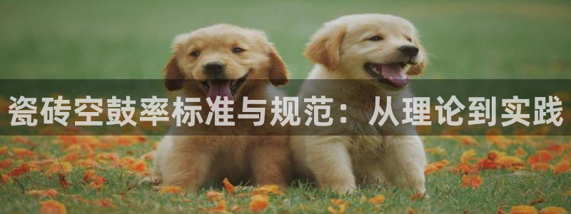 万事如意娱乐