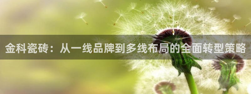 万事达娱乐 75505