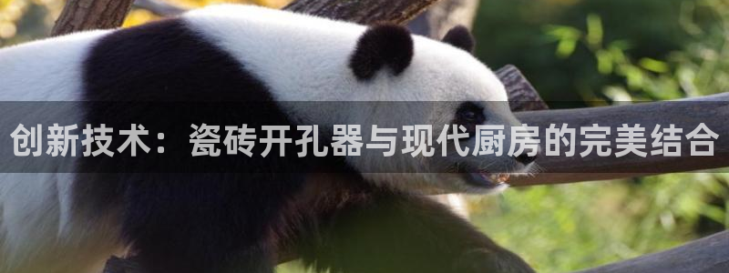 万事娱乐邵然