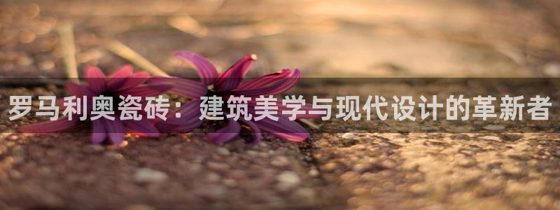 万事娱乐主管年薪多少