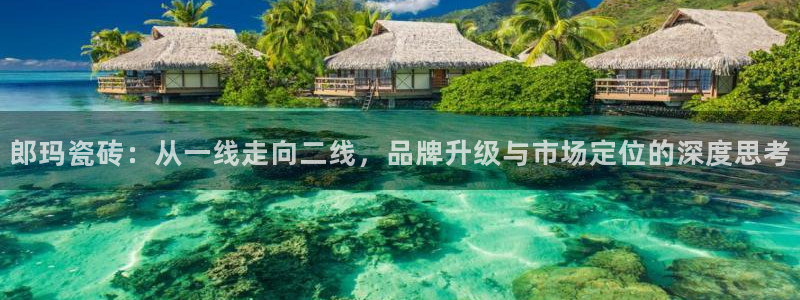 万事达娱乐问55312