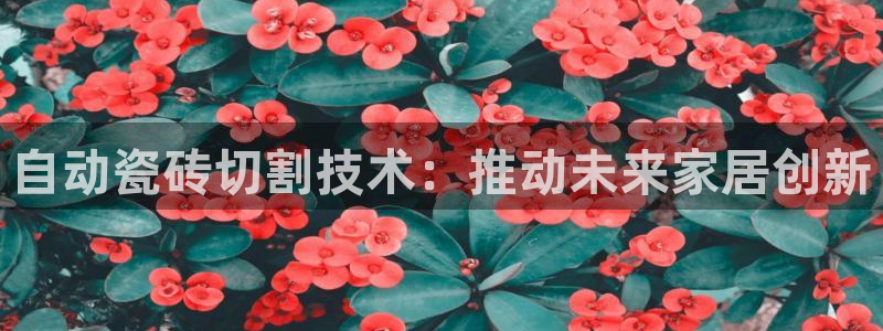 万事娱乐官网下载安装