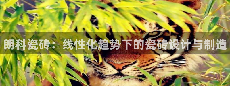 万事娱乐招商加盟