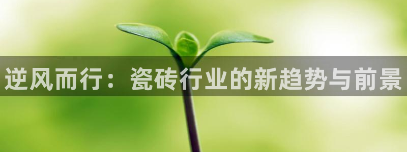 万事达娱乐91244