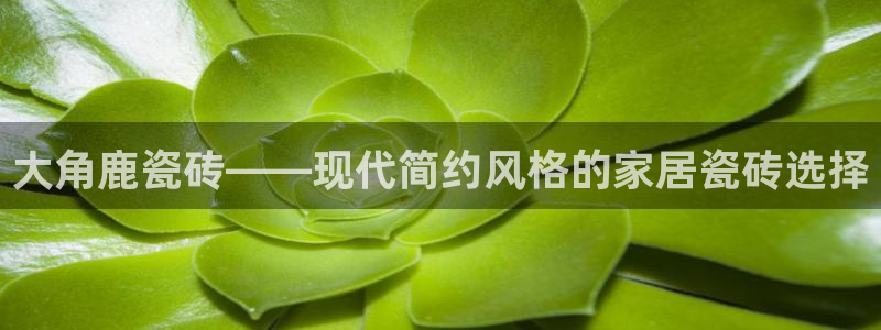 万事娱乐说