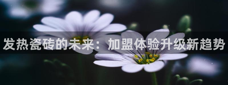 万事娱乐app官方认证
