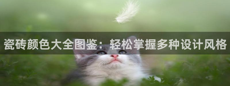 万事达娱乐招商
