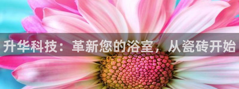 万事达娱乐 招商