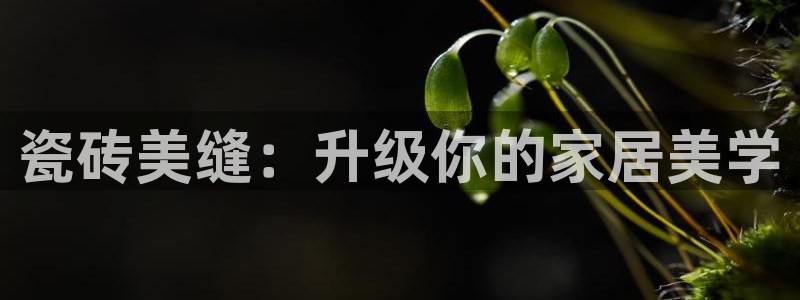 万事娱乐注册平台官网