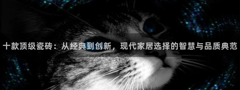 万事达娱乐连55312