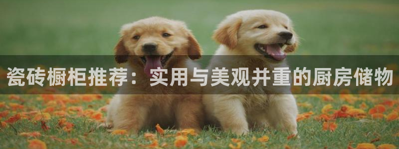 万事达娱乐程善良