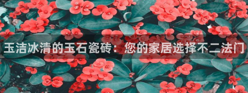 万事娱乐是什么平台