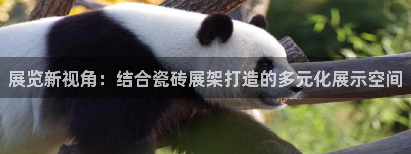 万事如意纯属娱乐