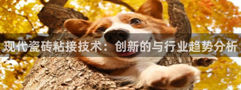 万事娱乐平台注册流程