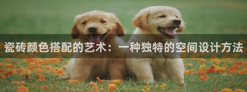 万事达娱乐h OO判官