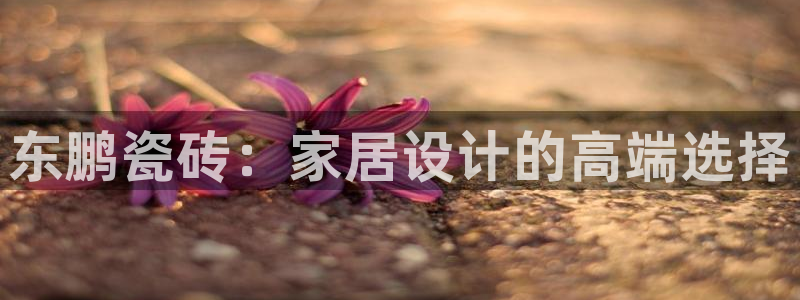 万事娱乐注册攀登