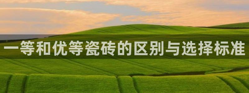 惠东万事达酒店娱乐