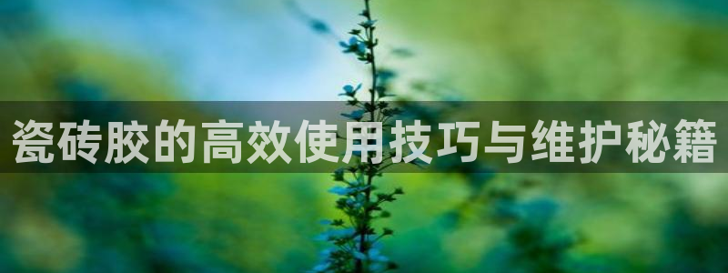 万事娱乐代理加盟电话