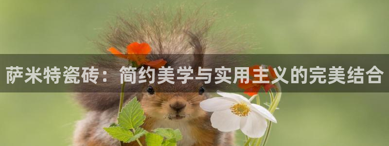 万事达娱乐 75505