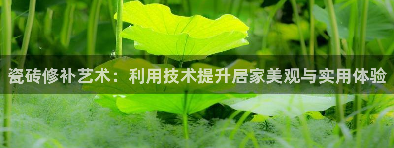 娱乐万事通焦作