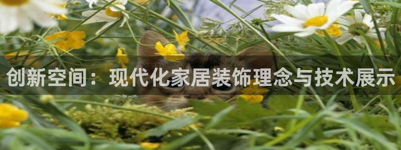 万事娱乐联37997筘