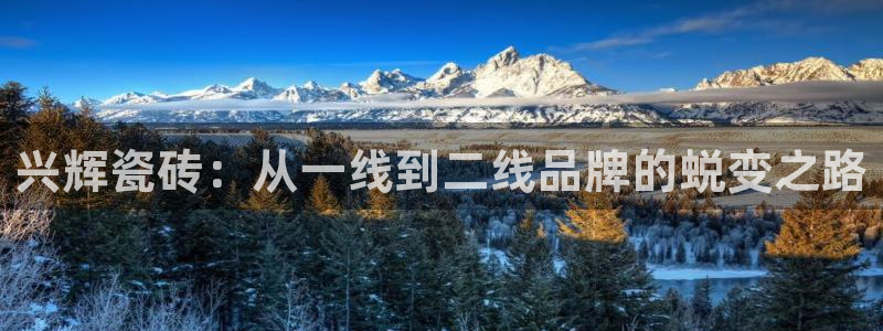 万事娱乐官网下载手机版