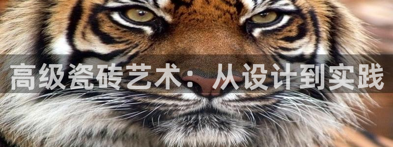 万事娱乐平台注册流程