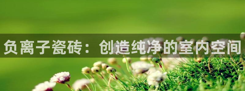 万事大吉娱乐项目