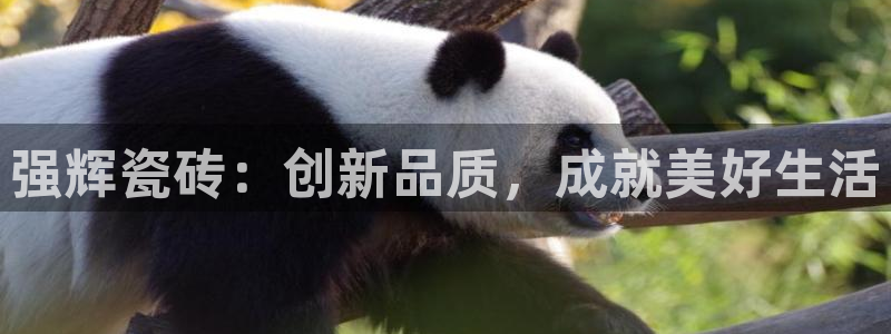 万事达娱乐设施