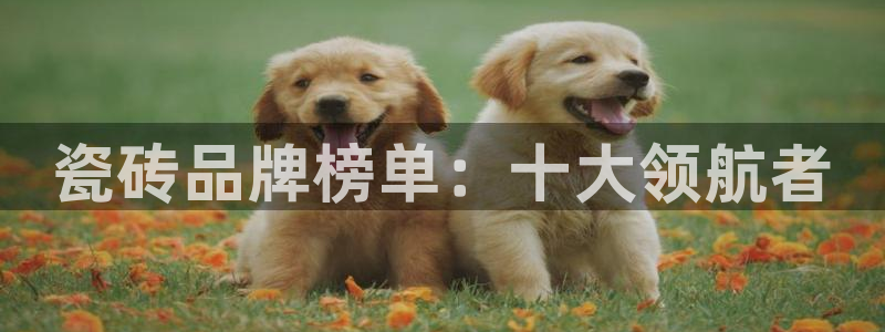 万事娱乐最高总代理