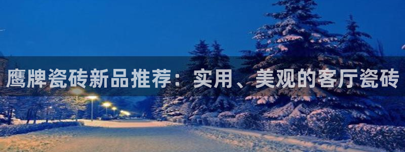 万事达娱乐 招商