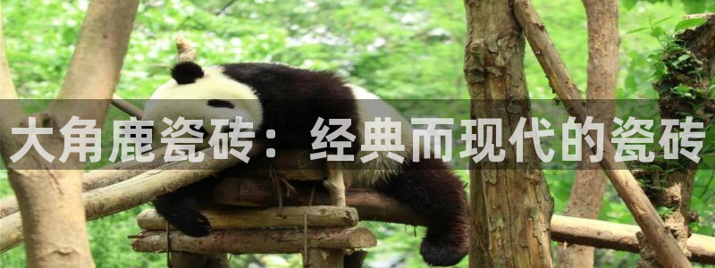 万事达娱乐i 判官