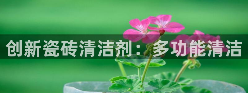 万事达娱乐下载