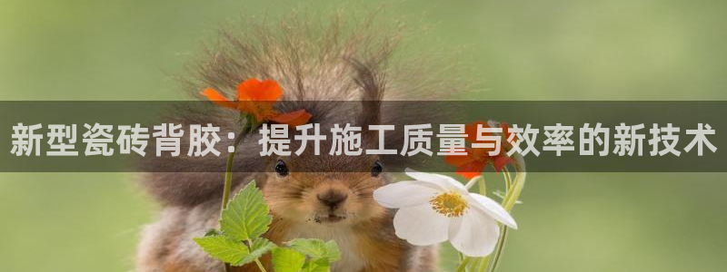 万事达娱乐问55312